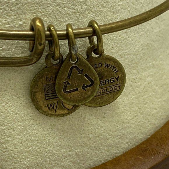 Alex and Ani Eye Of Horus Goldtone bracelet - Picture 3 of 4